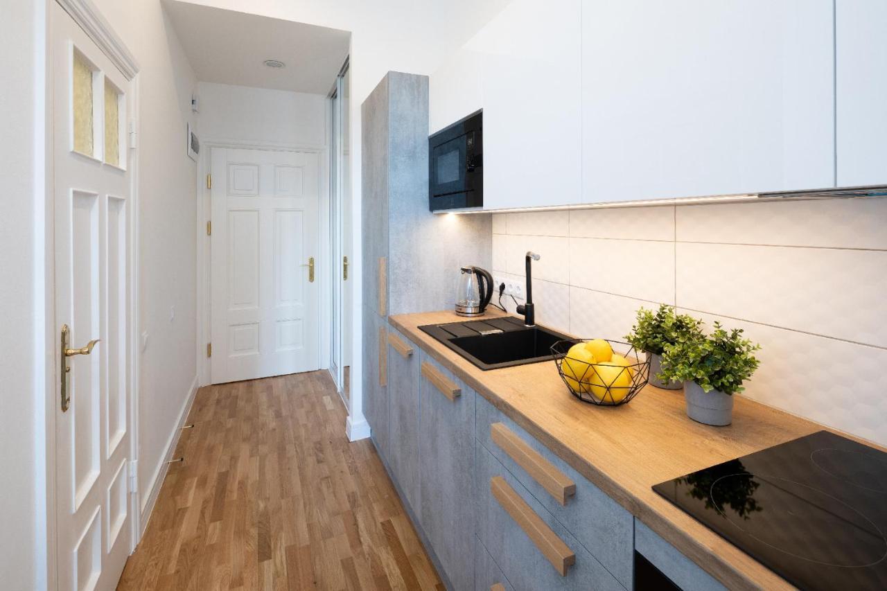 Brivibas House Design Apartments In City Center Riga Kültér fotó